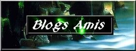 blogs-amis.jpg