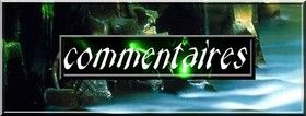 commentaires.jpg